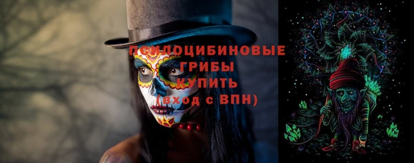 дмт Аркадак