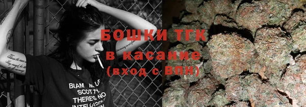 дмт Аркадак