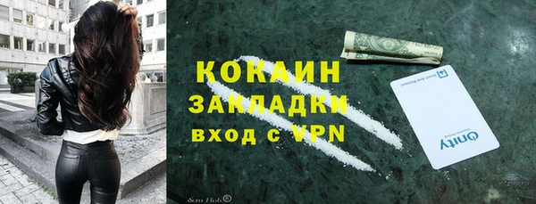 амф Арсеньев