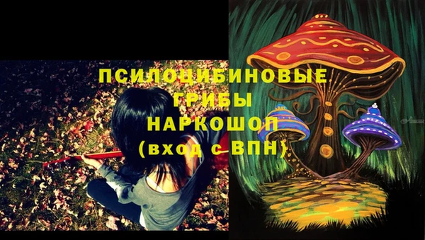 дмт Аркадак
