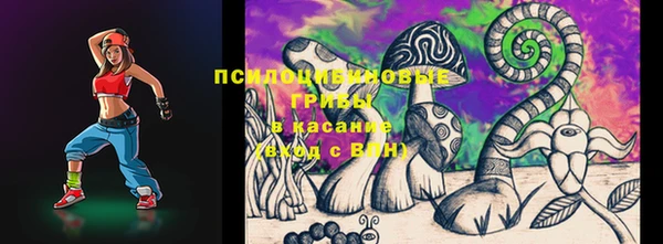 дмт Аркадак
