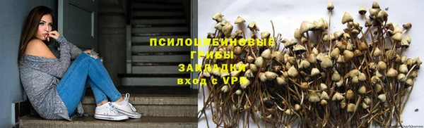 амф Арсеньев