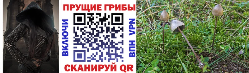 Галлюциногенные грибы GOLDEN TEACHER Усть-Катав