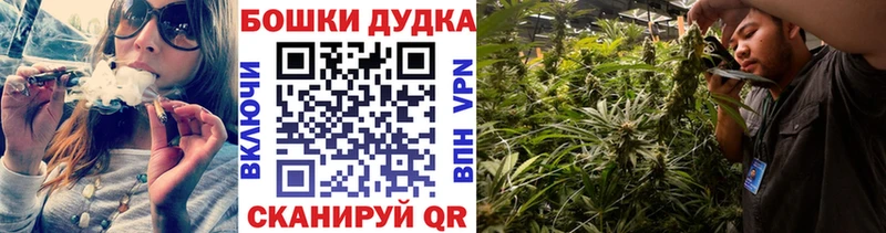 купить наркотики сайты  Усть-Катав  Канабис семена 
